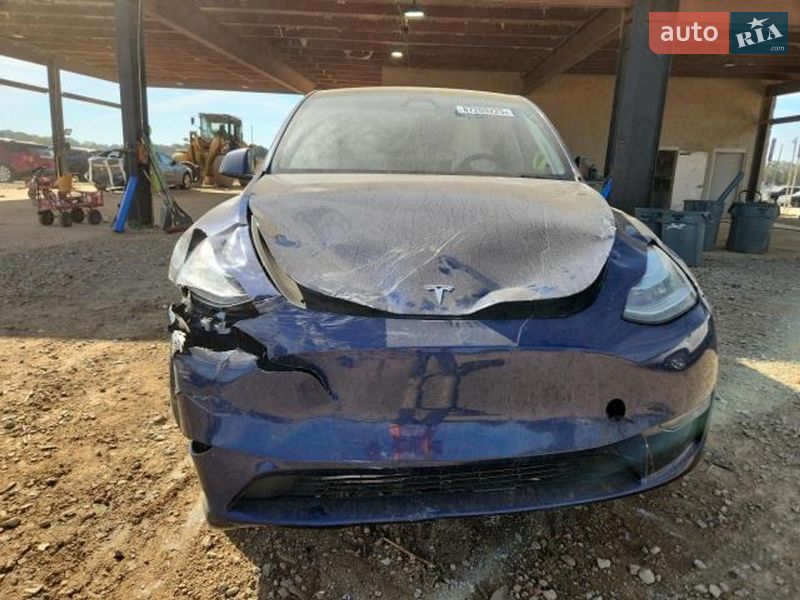 Позашляховик / Кросовер Tesla Model Y 2023 в Львові
