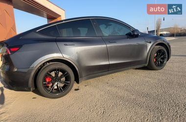 Внедорожник / Кроссовер Tesla Model Y 2024 в Буче