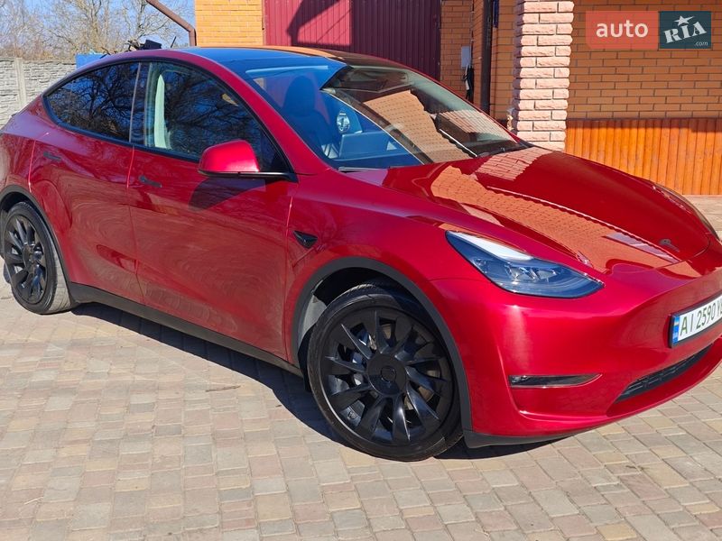 Внедорожник / Кроссовер Tesla Model Y 2024 в Фастове