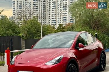 Позашляховик / Кросовер Tesla Model Y 2023 в Києві