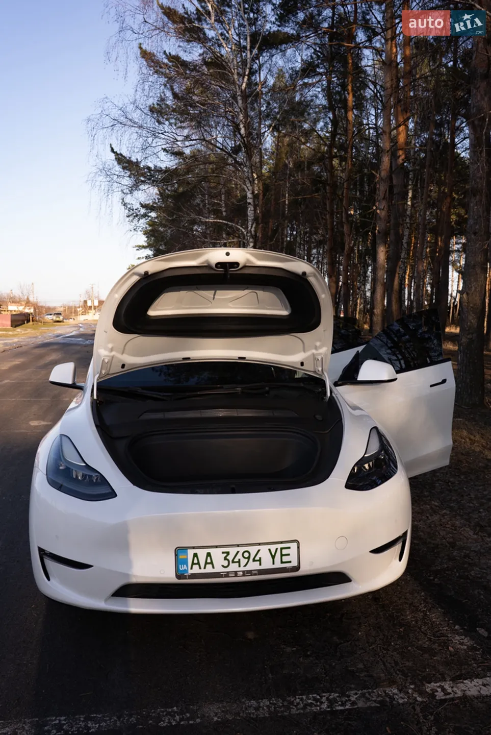 2021 Tesla Model Y - мініатюра 3