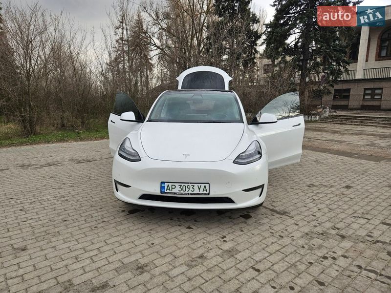 Позашляховик / Кросовер Tesla Model Y 2022 в Києві