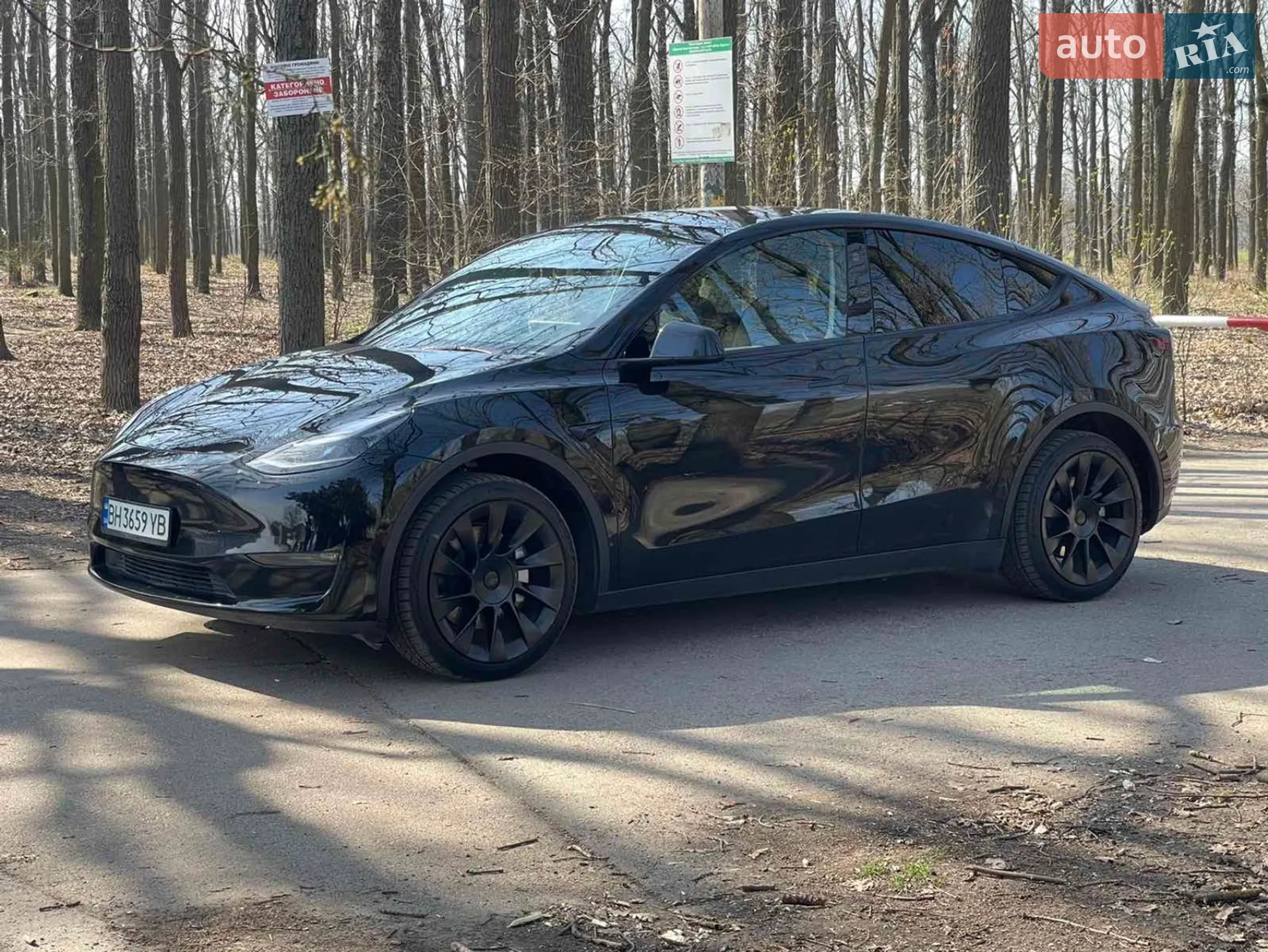 2023 Tesla Model Y - мініатюра 9