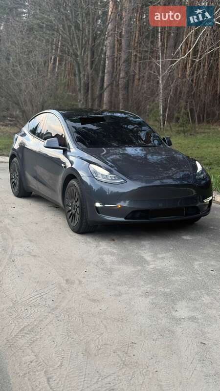 2020 Tesla Model-Y, VIN SADHA2B10M1609112:plate — фото 1 (autoria)