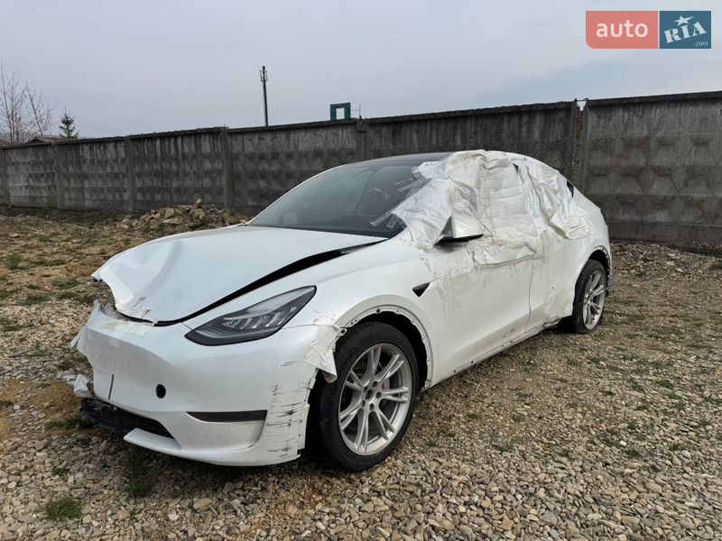 Позашляховик / Кросовер Tesla Model Y 2023 в Самборі фото 2 Позашляховик / Кросовер Tesla Model Y 2023 в Самборі