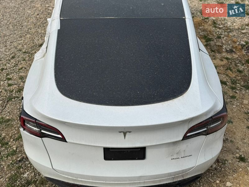 Позашляховик / Кросовер Tesla Model Y 2023 в Самборі фото 6 Позашляховик / Кросовер Tesla Model Y 2023 в Самборі