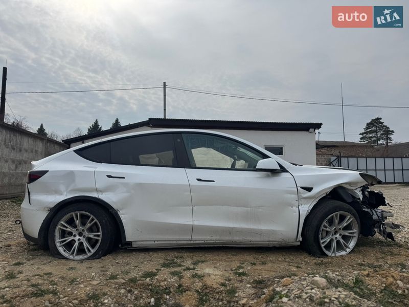 Позашляховик / Кросовер Tesla Model Y 2023 в Самборі фото 10 Позашляховик / Кросовер Tesla Model Y 2023 в Самборі