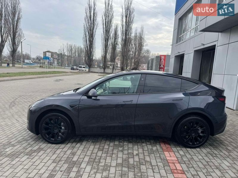 Внедорожник / Кроссовер Tesla Model Y 2024 в Никополе