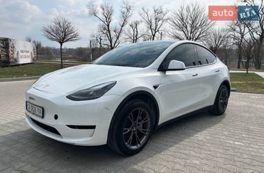 Позашляховик / Кросовер Tesla Model Y 2024 в Умані