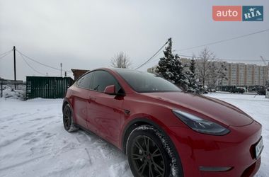 Позашляховик / Кросовер Tesla Model Y 2023 в Києві