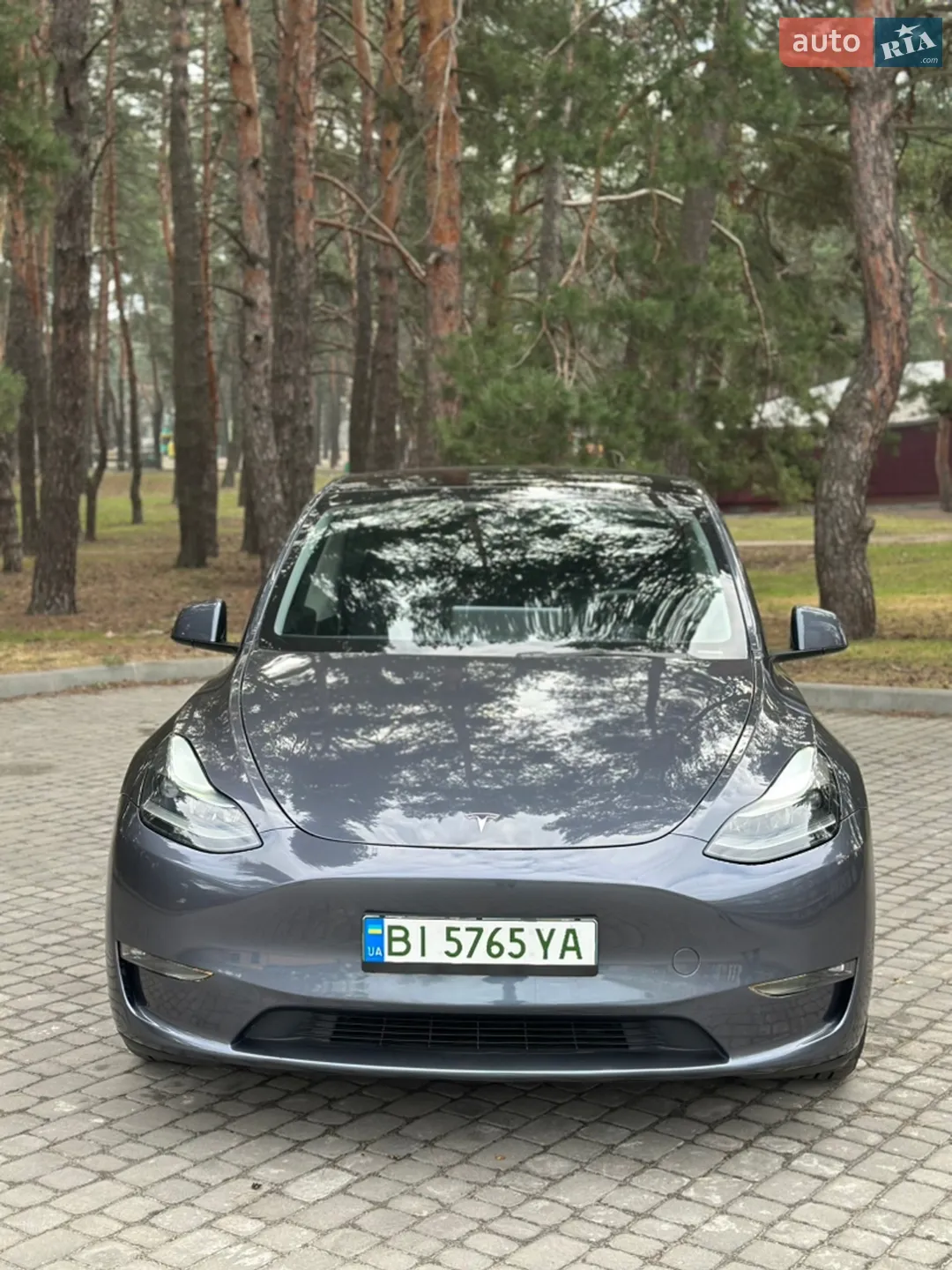 2023 Tesla Model Y - мініатюра 6