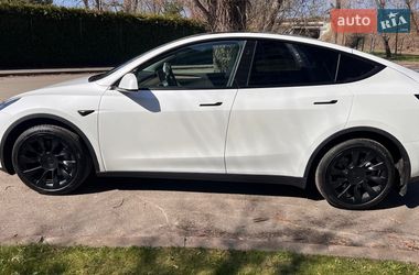 Позашляховик / Кросовер Tesla Model Y 2024 в Києві