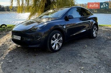 Внедорожник / Кроссовер Tesla Model Y 2024 в Житомире
