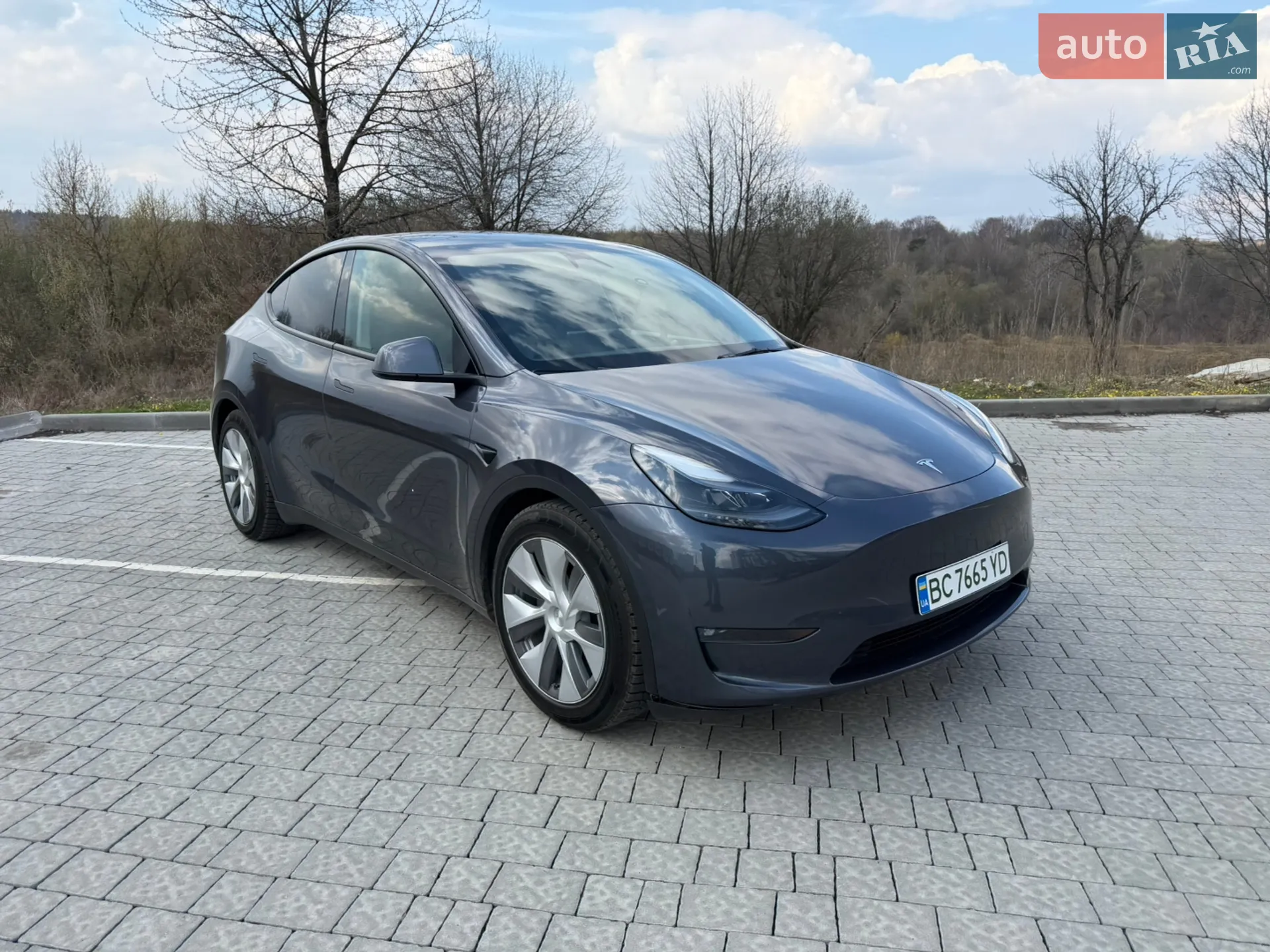 2023 Tesla Model Y - фото 1