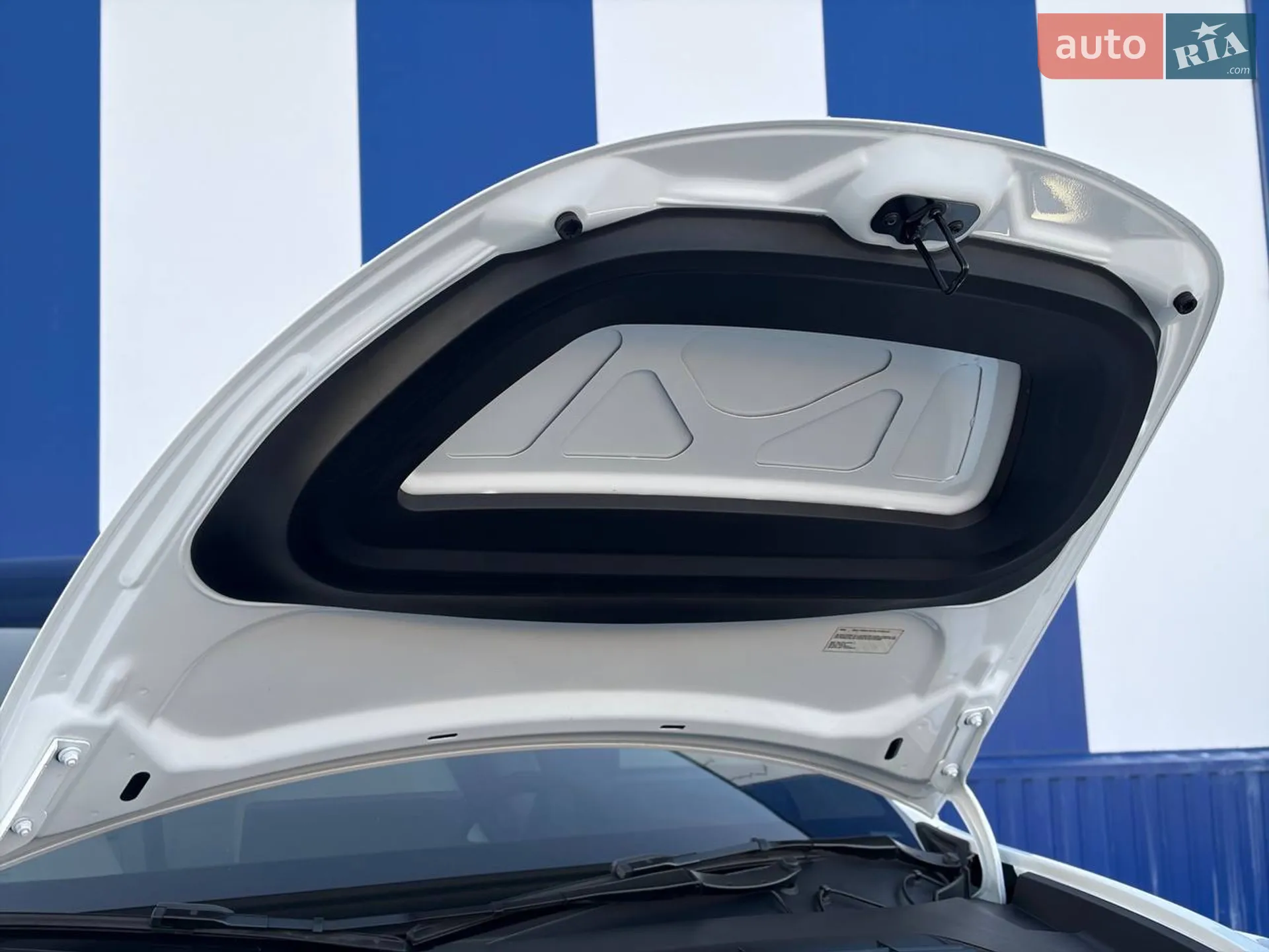 2024 Tesla Model Y - мініатюра 103