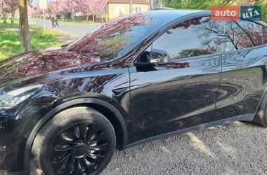 Позашляховик / Кросовер Tesla Model Y 2020 в Ужгороді