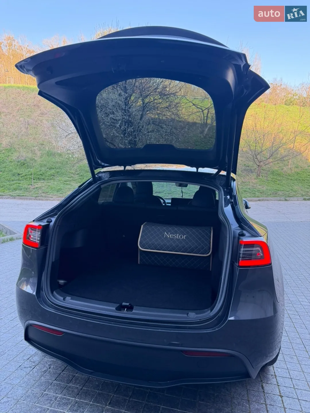 2022 Tesla Model Y - мініатюра 5