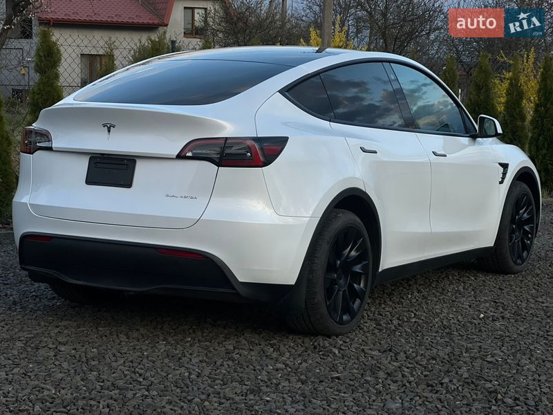 Внедорожник / Кроссовер Tesla Model Y 2023 в Луцке