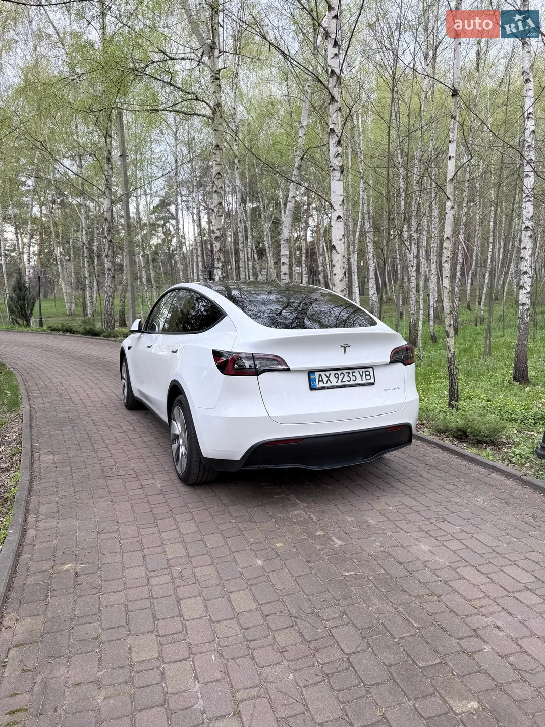 2022 Tesla Model Y - мініатюра 6