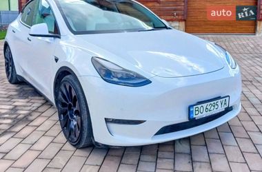 Позашляховик / Кросовер Tesla Model Y 2021 в Тернополі