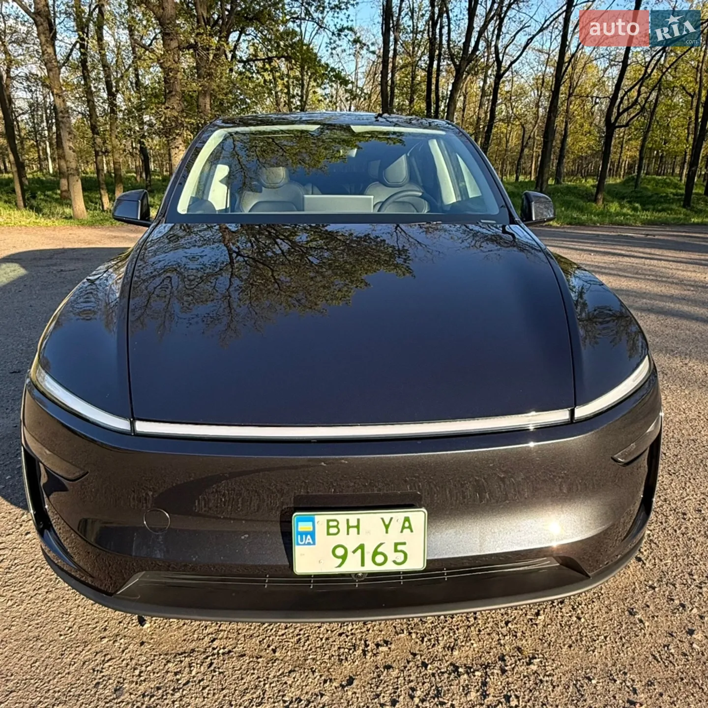 2025 Tesla Model Y - мініатюра 3