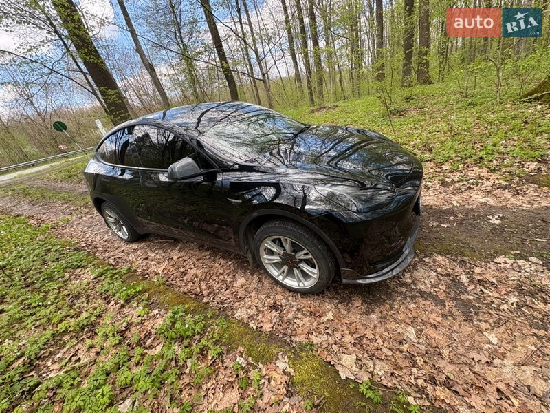 Внедорожник / Кроссовер Tesla Model Y 2020 в Львове