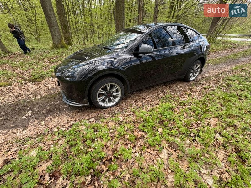 Внедорожник / Кроссовер Tesla Model Y 2020 в Львове