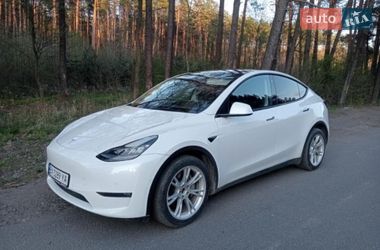 Внедорожник / Кроссовер Tesla Model Y 2021 в Шепетовке