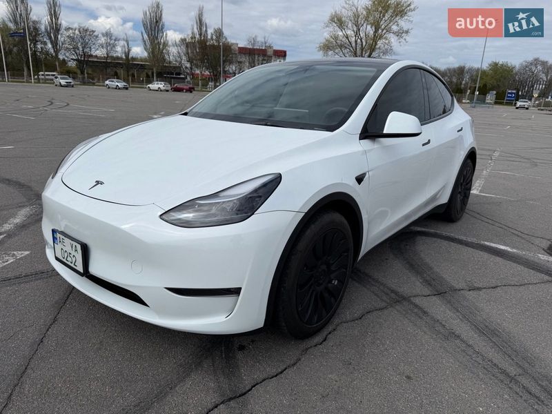 2023 Tesla Model Y, VIN 7SAYGDEE1PA128415:plate — фото 1 (autoria)