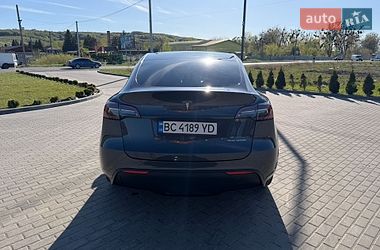 Внедорожник / Кроссовер Tesla Model Y 2021 в Золочеве