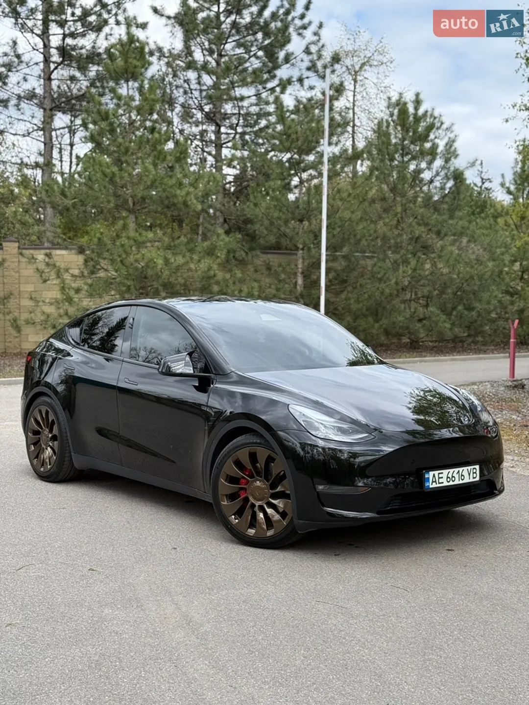 2023 Tesla Model Y - мініатюра 2
