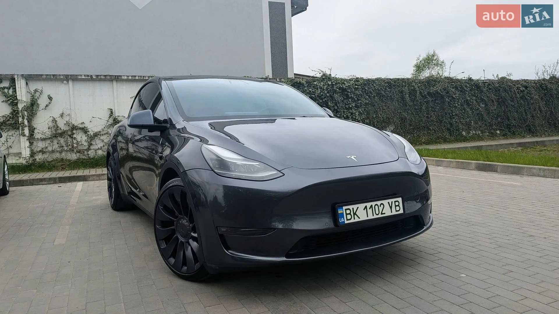 2022 Tesla Model Y - фото 1