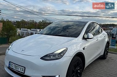 Внедорожник / Кроссовер Tesla Model Y 2021 в Черновцах