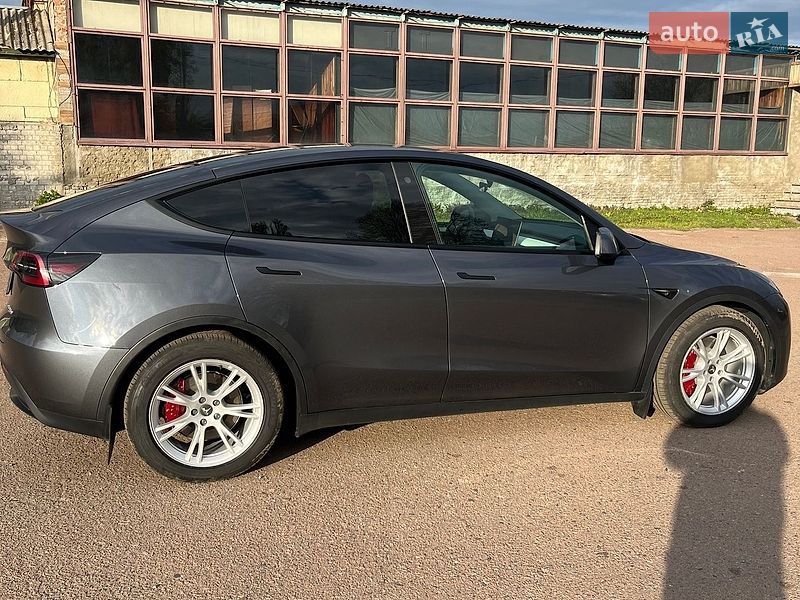 Внедорожник / Кроссовер Tesla Model Y 2023 в Чернигове