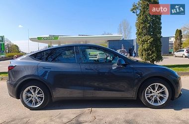 Внедорожник / Кроссовер Tesla Model Y 2024 в Сквире