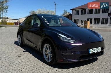 Внедорожник / Кроссовер Tesla Model Y 2021 в Старой Выжевке