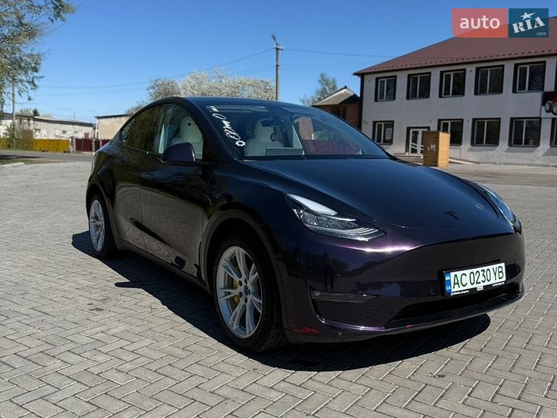 Внедорожник / Кроссовер Tesla Model Y 2021 в Старой Выжевке
