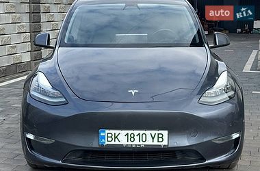 Внедорожник / Кроссовер Tesla Model Y 2020 в Дубно