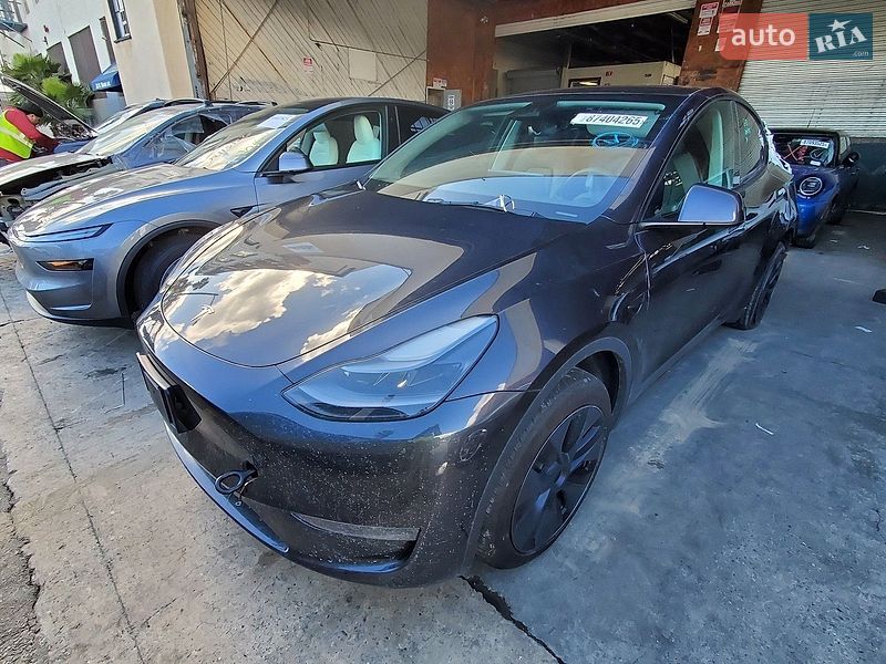 Внедорожник / Кроссовер Tesla Model Y 2024 в Запорожье
