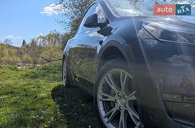 Внедорожник / Кроссовер Tesla Model Y 2024 в Львове
