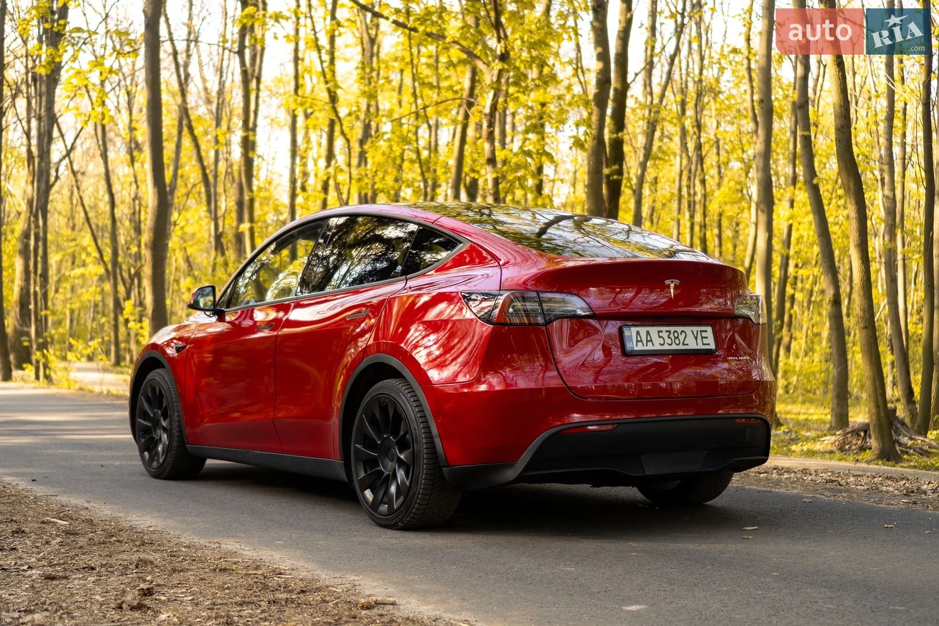 2021 Tesla Model Y - мініатюра 6