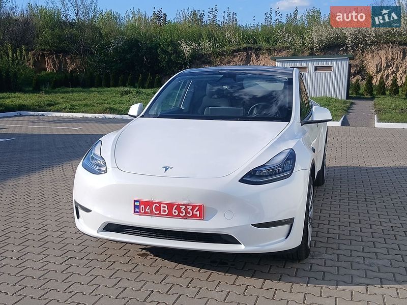 Внедорожник / Кроссовер Tesla Model Y 2023 в Калиновке