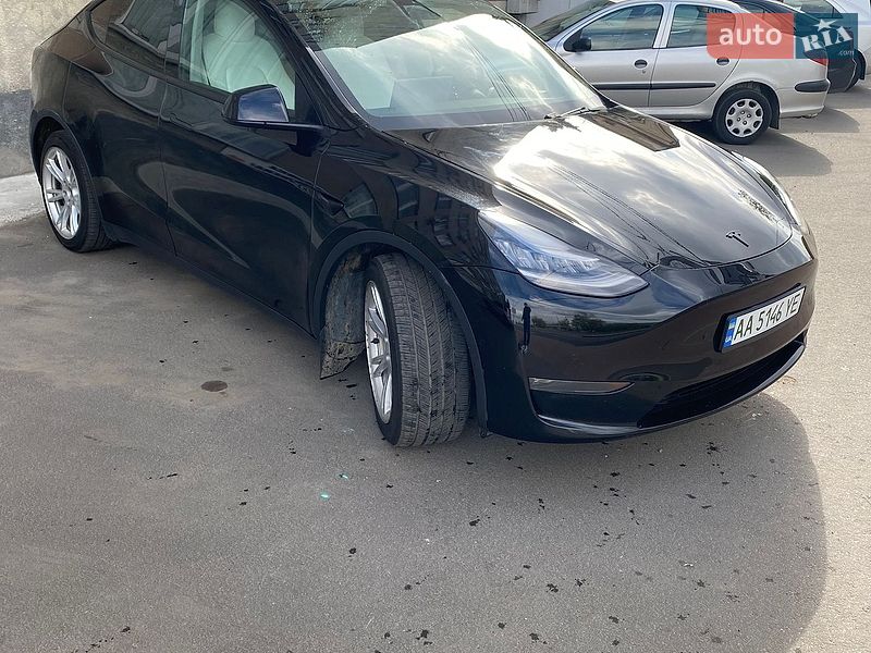 Внедорожник / Кроссовер Tesla Model Y 2020 в Киеве