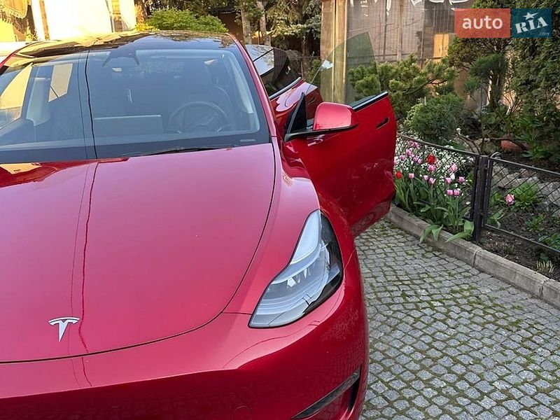Позашляховик / Кросовер Tesla Model Y 2023 в Харкові