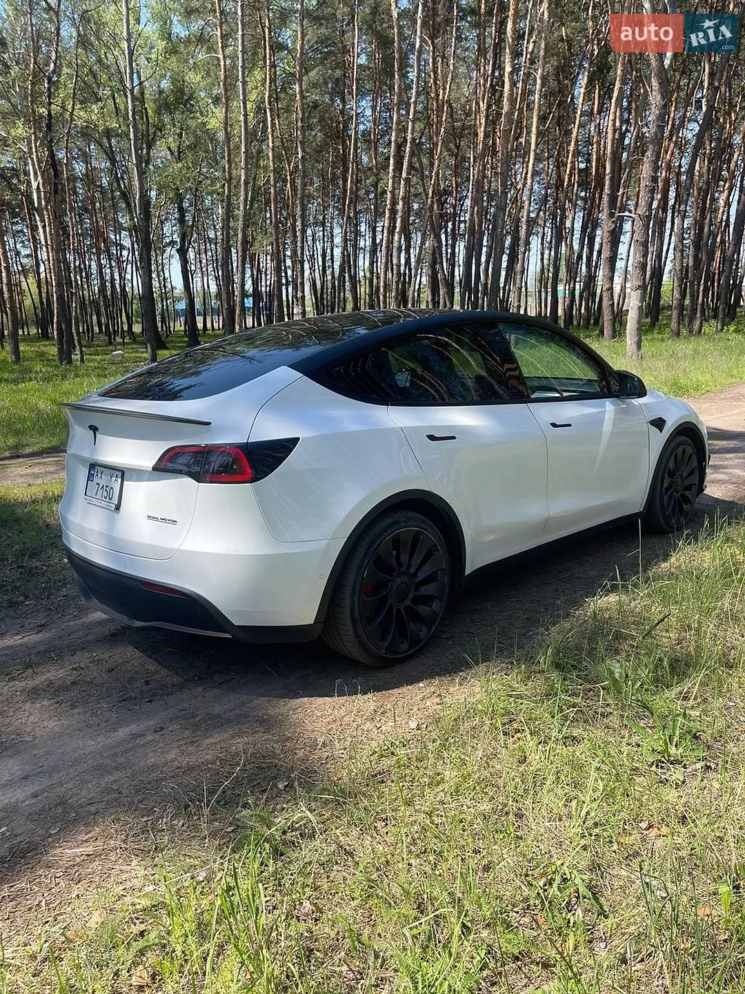2022 Tesla Model Y - мініатюра 12