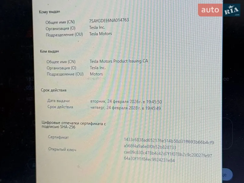 Внедорожник / Кроссовер Tesla Model Y 2022 в Николаеве документ