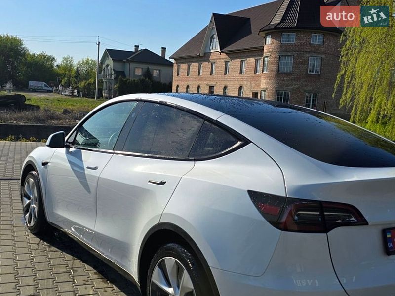 Позашляховик / Кросовер Tesla Model Y 2023 в Чернівцях