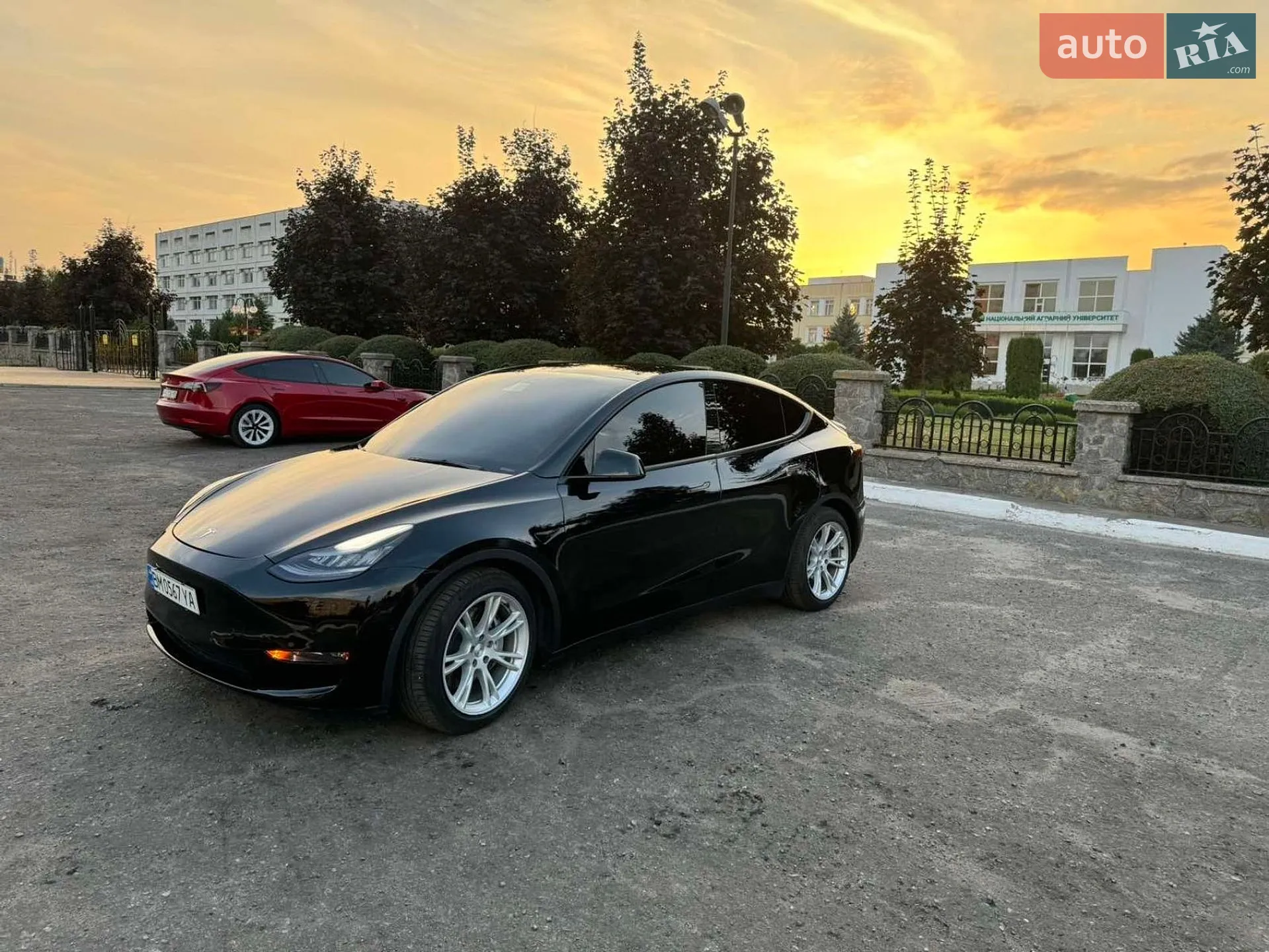 2021 Tesla Model Y - мініатюра 13