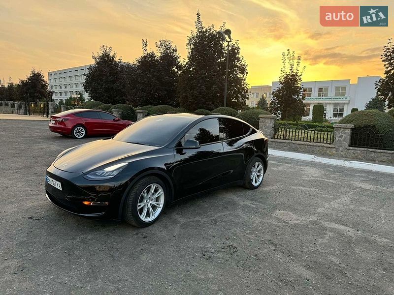Позашляховик / Кросовер Tesla Model Y 2021 в Сумах
