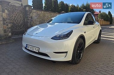 Внедорожник / Кроссовер Tesla Model Y 2022 в Хмельницком